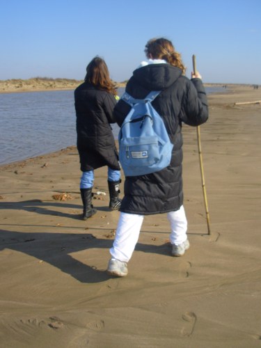 photo8